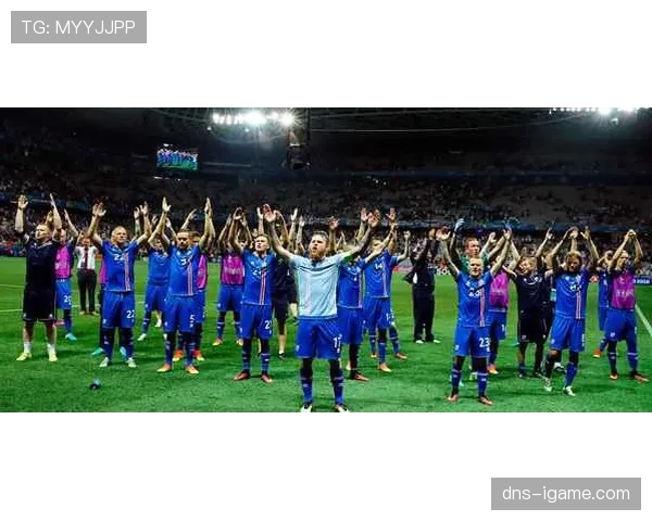 匈牙利队欧洲杯预选赛强势崛起，晋级前景备受瞩目